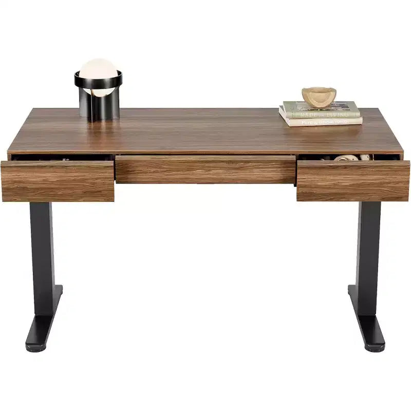48 Inch Electric Standing Desk with Drawers, Height Adjustable Stand Up Desk with Storage, Black Walnut Computer Workstation for Home Office